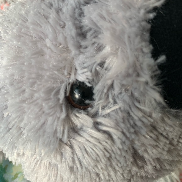 Build a Bear Koala - Picture 7 of 7